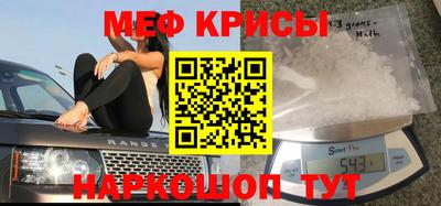 индика Гусев