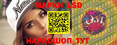 индика Гусев