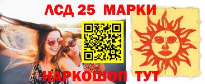 индика Гусев