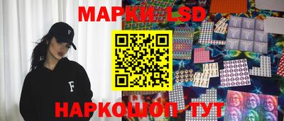 индика Гусев