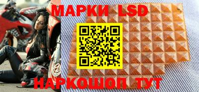 индика Гусев