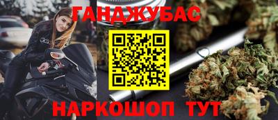 индика Гусев