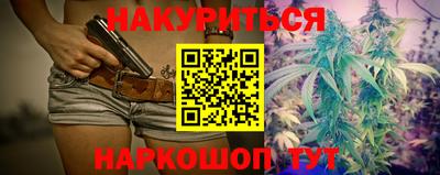 индика Гусев