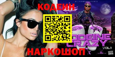 индика Гусев