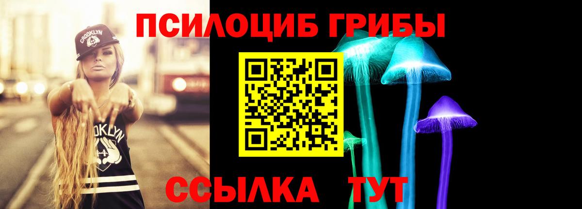 Псилоцибиновые грибы GOLDEN TEACHER Ростов-на-Дону